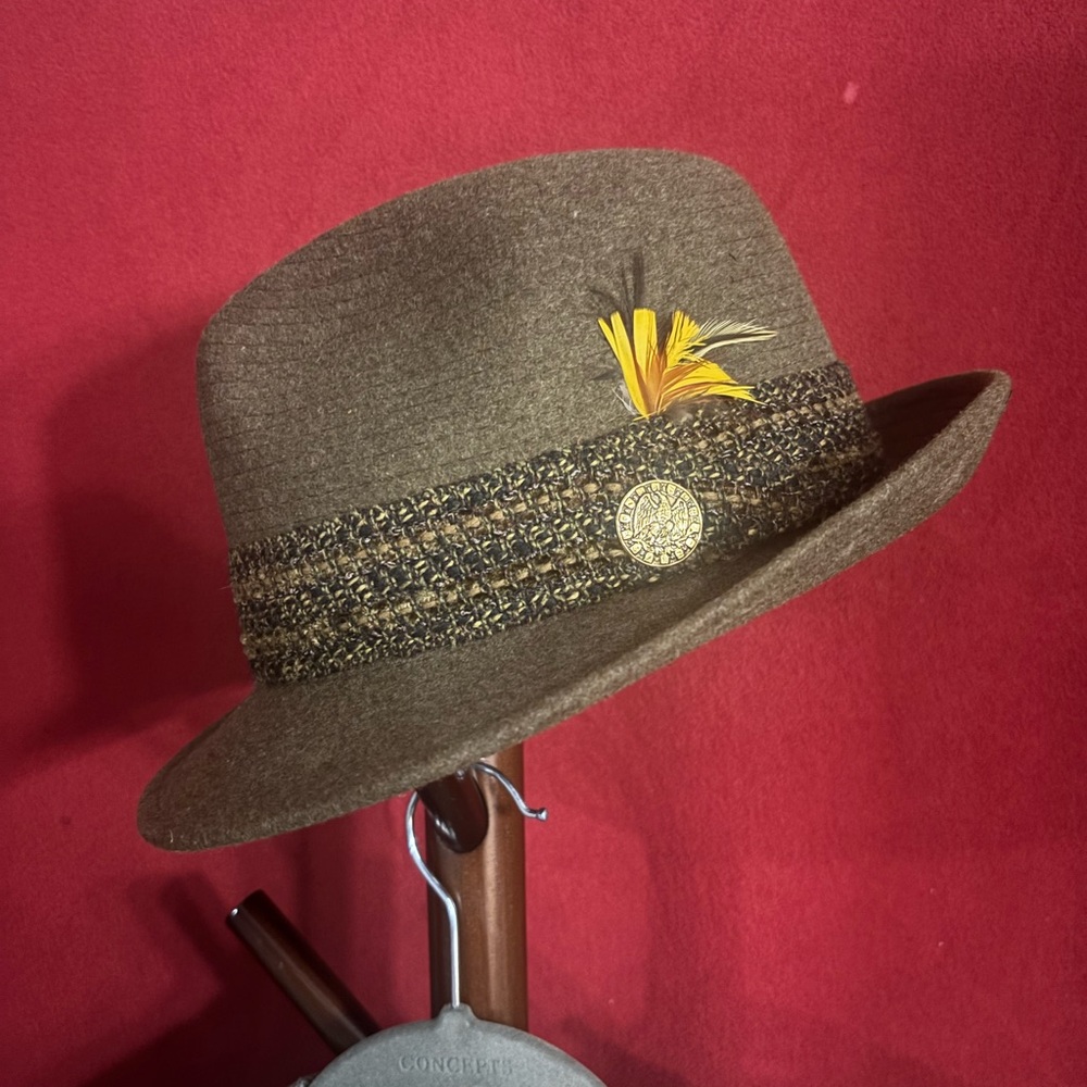Brown Fedora Hat with Feather Accent